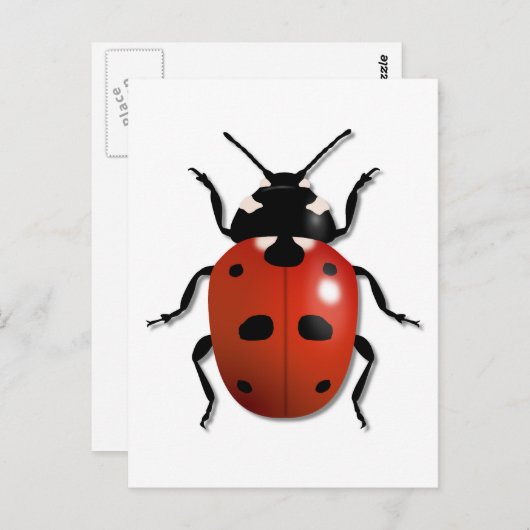 Ladybird Briefkaart (Voorkant / Achterkant)