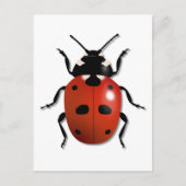 Ladybird Briefkaart (Voorkant)