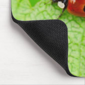 Ladybird die over het blad loopt muismat (Hoek)