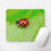 Ladybird die over het blad loopt muismat (Met muis)