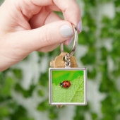 Ladybird die over het blad loopt sleutelhanger (Hand)