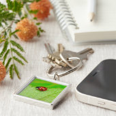 Ladybird die over het blad loopt sleutelhanger (Zijkant)