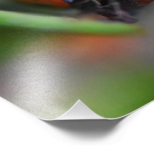 Ladybird Foto Afdruk (Hoek)