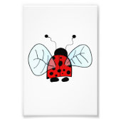 Ladybird Foto Afdruk (Voorkant)