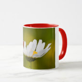 Ladybird in Oxeye Daisy - Mok (Voorkant rechts)