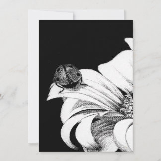 Ladybird Kaart
