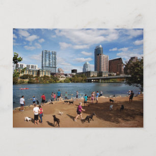 Ladybird Lake Dog Park Austin Texas Skyline Briefkaart