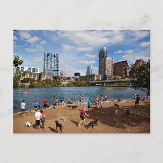 Ladybird Lake Dog Park Austin Texas Skyline Briefkaart (Voorkant)