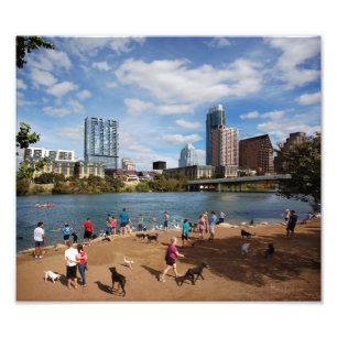 Ladybird Lake Dog Park Austin Texas Skyline Foto Afdruk