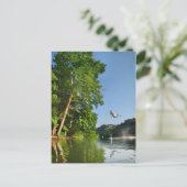 Ladybird Lake Rope Swing - Austin Texas Briefkaart (Staand voorkant)