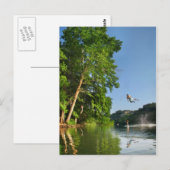Ladybird Lake Rope Swing - Austin Texas Briefkaart (Voorkant / Achterkant)