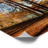 Ladybird Lake Running Trail - Austin, Texas Poster (Hoek)