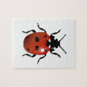 Ladybird Legpuzzel (Horizontaal)