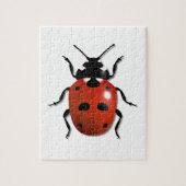 Ladybird Legpuzzel (Verticaal)