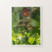 Ladybird Legpuzzel (Verticaal)