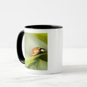 Ladybird op blad, Ladybug op blad Mok (Voorkant links)