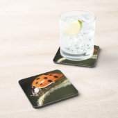 Ladybird op blad, Ladybug op blad Onderzetter (Rechterzijde)
