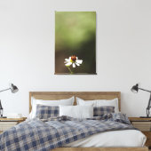 Ladybird op Chamomile Flower Canvas Afdruk (Insitu (Slaapkamer))