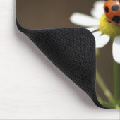 Ladybird op Chamomile Flower Muismat (Hoek)