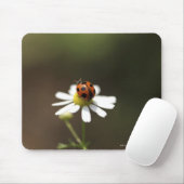 Ladybird op Chamomile Flower Muismat (Met muis)