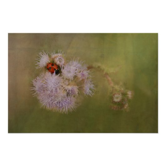Ladybird op Dandelion sluit fotografische kunst op Perfect Poster (Voorkant)