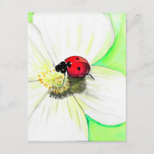 Ladybird op een White Flower Painting Briefkaart