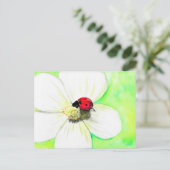Ladybird op een White Flower Painting Briefkaart (Staand voorkant)
