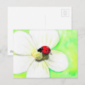 Ladybird op een White Flower Painting Briefkaart (Voorkant / Achterkant)