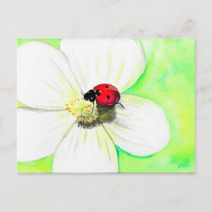 Ladybird op een White Flower Painting Briefkaart