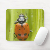 Ladybird op gras, close-up muismat (Met muis)