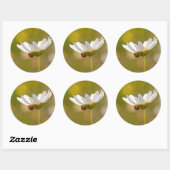Ladybird op Oxeye Daisy Ronde sticker (Vel)