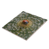 Ladybird op paardenbloem klok. Macrofotografie Tegeltje (Zijkant)