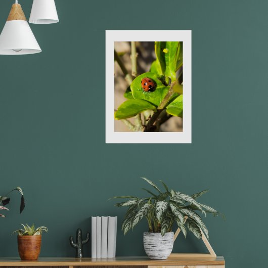 Ladybird  poster (Woonkamer 1)