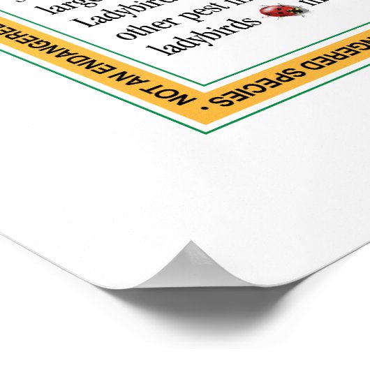 Ladybird Poster (Hoek)