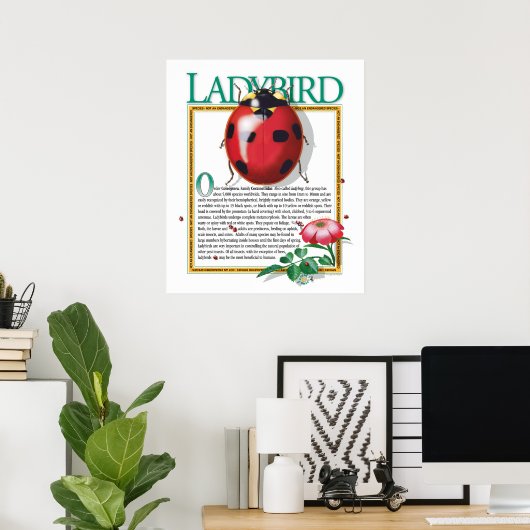 Ladybird Poster (Thuiskantoor)