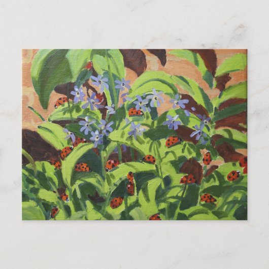Ladybirds 2013 briefkaart (Voorkant)