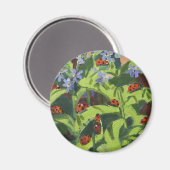 Ladybirds 2013 magneet (Voorkant / Achterkant)