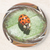 Ladybug 187 ~ onderzetter (Voorkant)