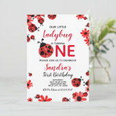 Ladybug 1st Baby Girl Birthday Invitation Kaart (Staand voorkant)