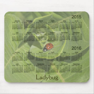 Ladybug 2 Jaar 2015-2016 Kalender Mousepad Muismat