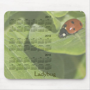 Ladybug 3 Year 2013-2015 Calendar Mousepad Muismat