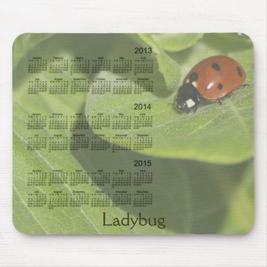 Ladybug 3 Year 2013-2015 Calendar Mousepad Muismat (Voorkant)