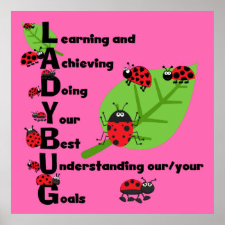 LADYBUG Aangepast Poster