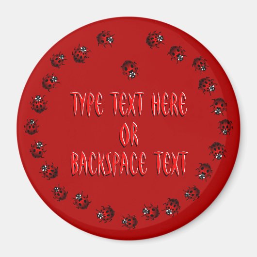 Ladybug Art Magnet Custom Ladybug Koelkast Magnete (Voorkant)