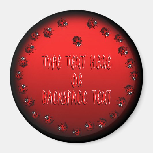 Ladybug Art Magnet Custom Ladybug Koelkast Magnete (Voorkant)