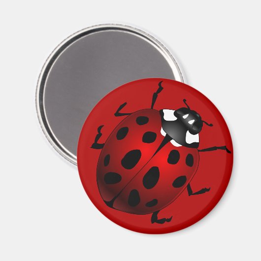 Ladybug Art Magnet Ladybird Ladybug Koelkast Magne (Voorkant / Achterkant)