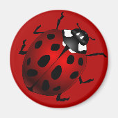Ladybug Art Magnet Ladybird Ladybug Koelkast Magne (Voorkant)
