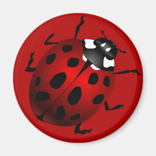 Ladybug Art Magnet Ladybird Ladybug Koelkast Magne