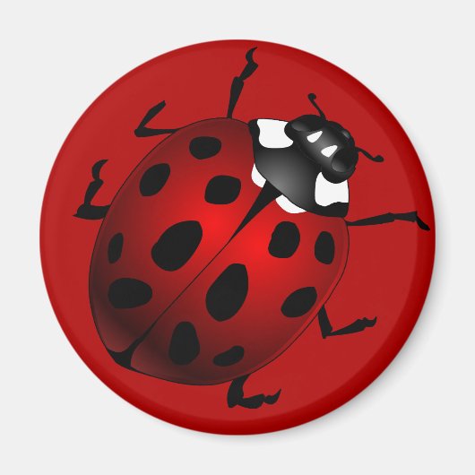Ladybug Art Magnet Ladybird Ladybug Koelkast Magne (Voorkant)