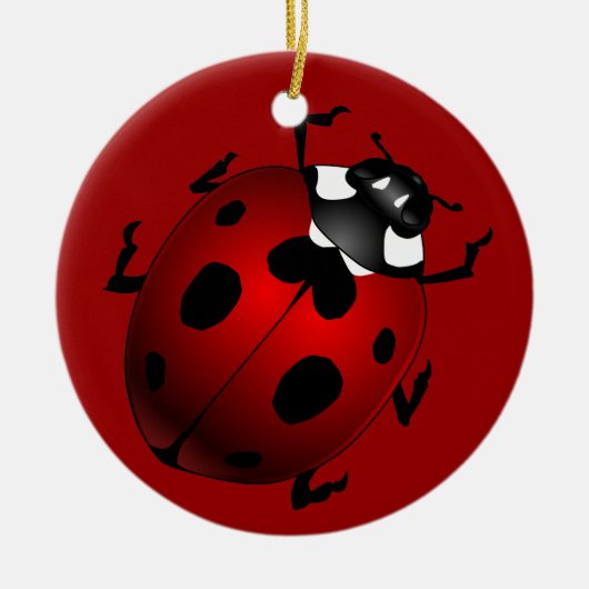 Ladybug Art Ornament Bug Keepomwille Ladybug Gifts (Voorkant)